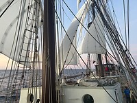 IMG_4579