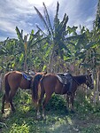 IMG_3505