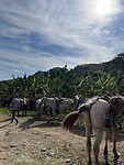 IMG_3500