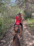 IMG_3519