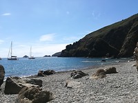 Sark