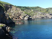 Sark