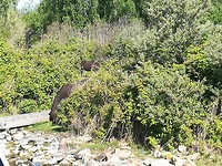 Stampersplaat