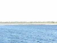 Onderweg naar de haven
