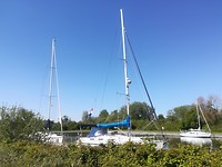 Stampersplaat