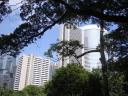 DSC03361