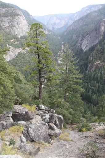 Onderweg van SF naar Yosemite
