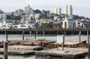 Pier 39