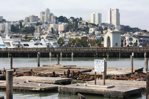 Pier 39