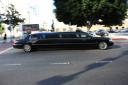 1 v.d. limo's