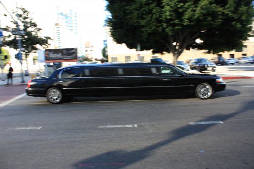 1 v.d. limo's