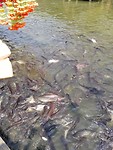IMG_20190328_111540