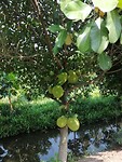 IMG_20190328_093938