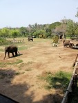 IMG_20190331_144331
