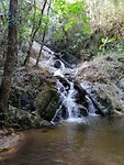 IMG_20190331_091244