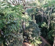IMG_20190331_084233