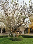 IMG_20190402_154846