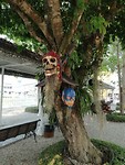 IMG_20190402_152958