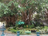 IMG_20190402_151654