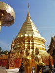 IMG_20190402_085921