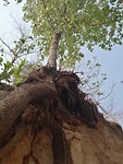 IMG_20190404_160742