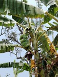 IMG_20190404_133602