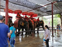 IMG_20190407_162949