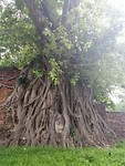IMG_20190407_144120