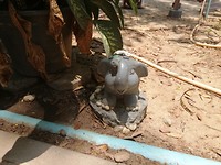 IMG_20190407_121023