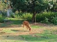 IMG_20190409_161447