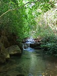 IMG_20190409_100452