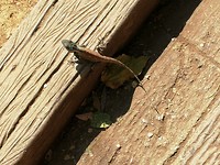 IMG_20190409_093804
