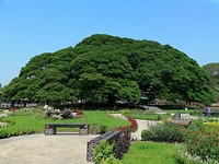 IMG_20190410_113503