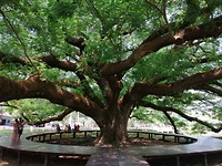 IMG_20190410_113133