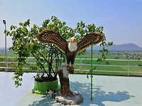 IMG_20190410_104851