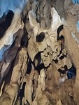 IMG_20190410_094538