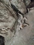 IMG_20190410_093810