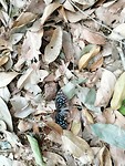 IMG_20190411_171243