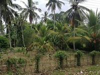 IMG_20190411_111322