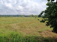 IMG_20190411_094050