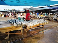 IMG_20190411_075118