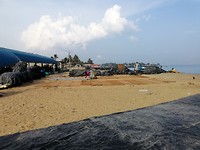 IMG_20190411_074947