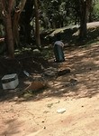 IMG_20190412_115438