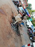 IMG_20190412_172525