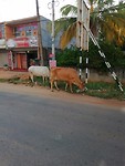 IMG_20190412_172450