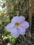 IMG_20190412_113952