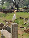 IMG_20190412_104042
