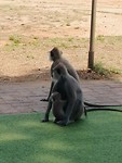 IMG_20190412_103050