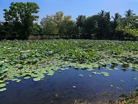 IMG_20190412_102318