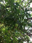 IMG_20190412_101334